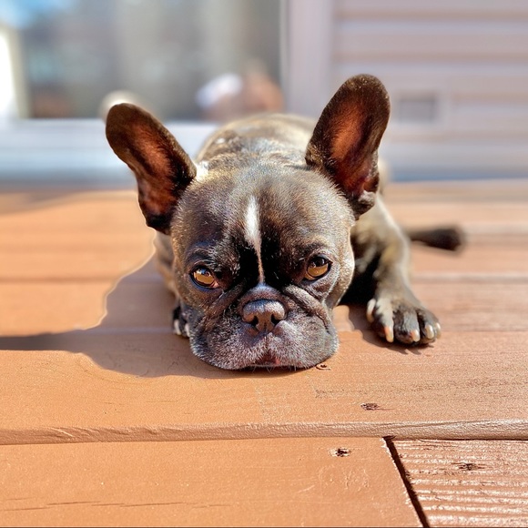 💕 Meet your seller/buyer 💕 - Picture 2 of 2